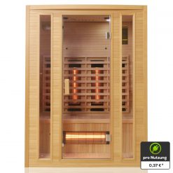 704 TroniTechnik Infrarotkabine MANILA 140x100 13